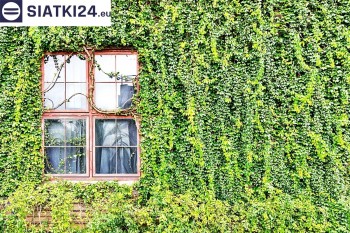 Siatki Wschowa - Siatka z dużym oczkiem - wsparcie dla roślin pnących na altance, domu i garażu dla terenów Wschowy
